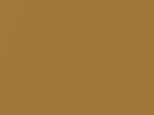 Buick All Models Honey Gold Metallic 1975 4570, 53, 57, WA4570