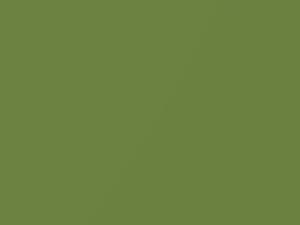 Buick All Models Concord Green Metallic 1976 40, 4798, WA4798