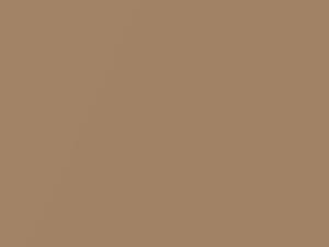 Volkswagen All Models Burnished Gold Metallic 1982 LE1Z