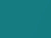 AMC All Models Alamosa Aqua Metallic 1969 P68