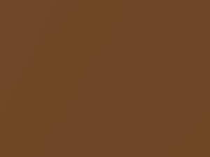 Ford All Models Medium Brown Metallic 1971 5, M3564A