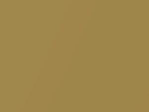 Ford All Models Bright Gold D/F Metallic 1977 6Y, M5461A