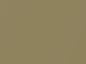 Buick All Models Rivera Fawn Metallic 1967 3661, W, WA3661 - Scratch Repair