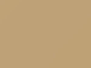 Honda All Models Desert Tan 1983 YR54