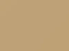 Honda All Models Desert Tan 1983 YR54
