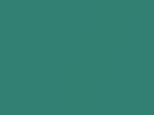 Chevrolet All Models Medium Green Metallic 1970 5182, 529, WA5182