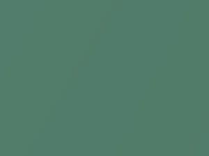 Jeep All Models Julep Green Metallic 1972 491
