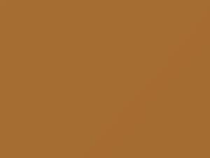 Jeep All Models Autumn Gold 1981 1D