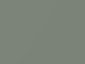 Chevrolet All Models Glacier Gray Metallic 1965 3312, W, WA3312