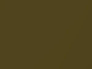 Plymouth All Models Avocado Gold Metallic 1975 AY70KJ6, J6