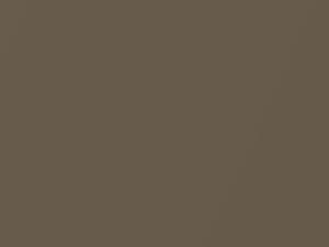AMC All Models Cordoba Brown Metallic 1969 P78