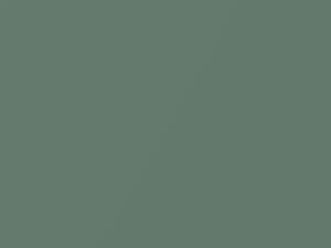 Cadillac All Models Thyme Green Metallic 1977 4901, 94, WA4901