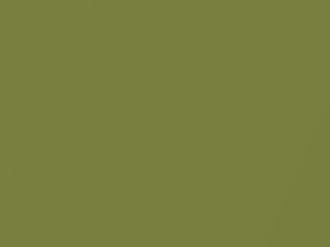Chrysler All Models April Green Metallic 1979 6