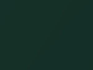 Dodge All Models Augusta Green S/F 1978 AY70RF9, F9 - Scratch Repair