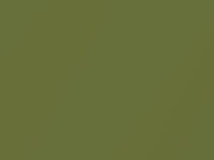 Chevrolet All Models Light Green Metallic 1975 45, 4641, WA4641