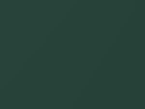 AMC All Models Cumberland Green Metallic 1979 9H - Scratch Repair