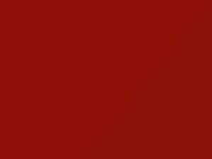 BMW All Models Henna Red 1988 52