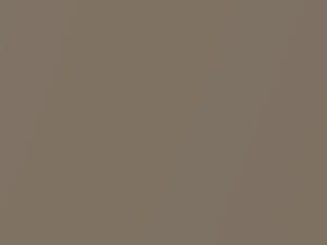 Cadillac All Models Post Road Brown Metallic 1979 69, 8031, WA8031 - Scratch Repair