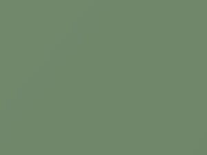 Dodge All Models Turf Green 1961 C3269ES, DT7567