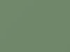 Dodge All Models Turf Green 1961 C3269ES, DT7567