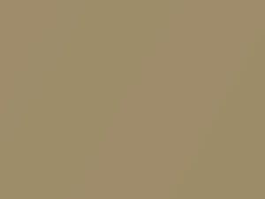 Volkswagen All Models Harvest Gold Metallic 1976 L98C