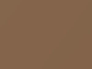 Mercedes-Benz All Models Sand Beige 1986 1-444, 444