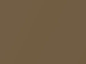 Ford All Models Desert Gold Metallic 1980 6F, M5619A - Scratch Repair