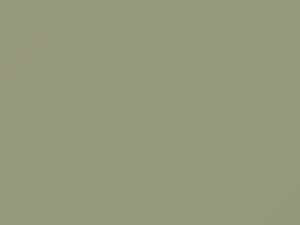 Fiat All Models Light Gray 1973 604