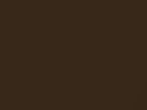AMC All Models Cordoba Brown Metallic 1973 D4