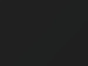 Austin Rover All Models Carlton Gray 1959 GR18 - Scratch Repair