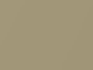 Cadillac All Models Sierra Gold Metallic 1981 36, 7202, WA7202 - Scratch Repair