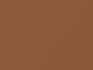 Porsche All Models Caramel Beige 1995 499, D9, L499