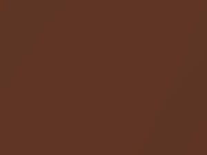 Ford Thunderbird Chestnut Bronze Metallic 1970 M3347A, Y