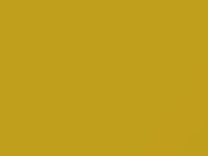 Toyota All Models Yellow 1985 561