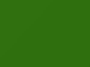 Volkswagen All Models Cliff Green/Rallye Green 1974 L61A