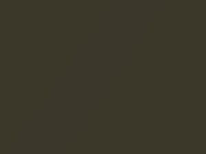 Buick All Models Olive Gold Metallic 1968 3826, S, WA3826