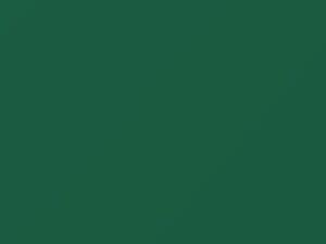 GMC All Models Reef Green 1959 3