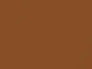 Ford All Models Saddle Bronze Metallic 1974 5T, M5145A