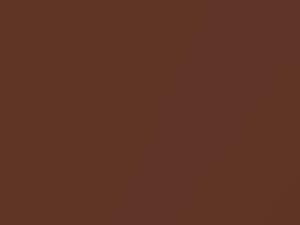 Subaru All Models Mocha Brown Metallic 1979 13