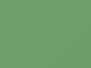 Toyota All Models Spring Green 1970 1028