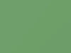 Toyota All Models Spring Green 1970 1028