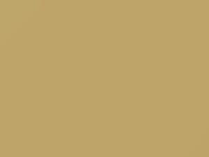 Chevrolet All Models Cream Beige 1975 4527, 50, WA4527 - Scratch Repair