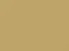 Buick All Models Sand Beige 1975 4527, 50, WA4527