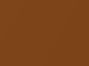 Chrysler All Models Caramel Tan Metallic 1977 63