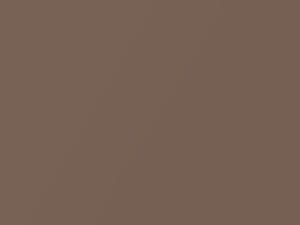 Porsche All Models Nougat Brown Metallic 1988 L40B, LM8V
