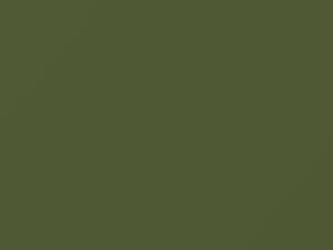 Toyota All Models Light Green 1973 634