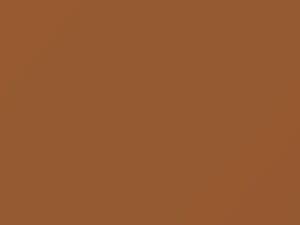 Lincoln All Models Desert Buff 1955 25, M25J329 - Scratch Repair