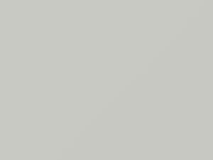Fiat All Models White 1974 258