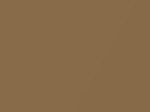 Toyota All Models Succinic Gold Metallic 1972 406