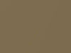 Chrysler All Models Moss Gold Metallic 1966 4, AAY2L4